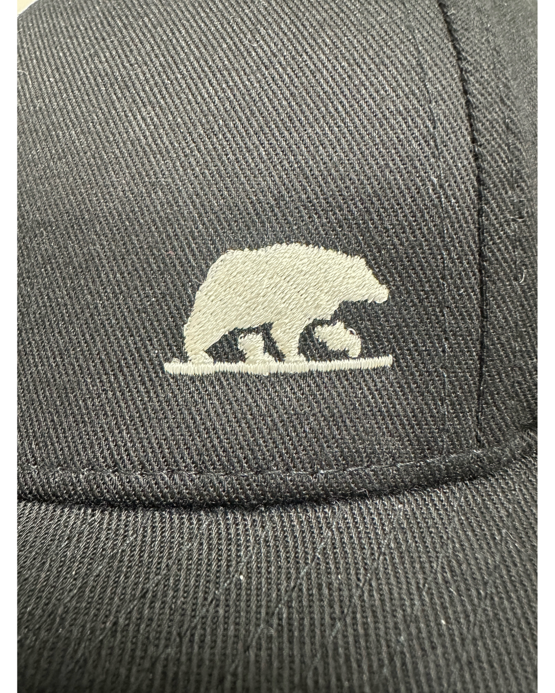 Bruin Hat