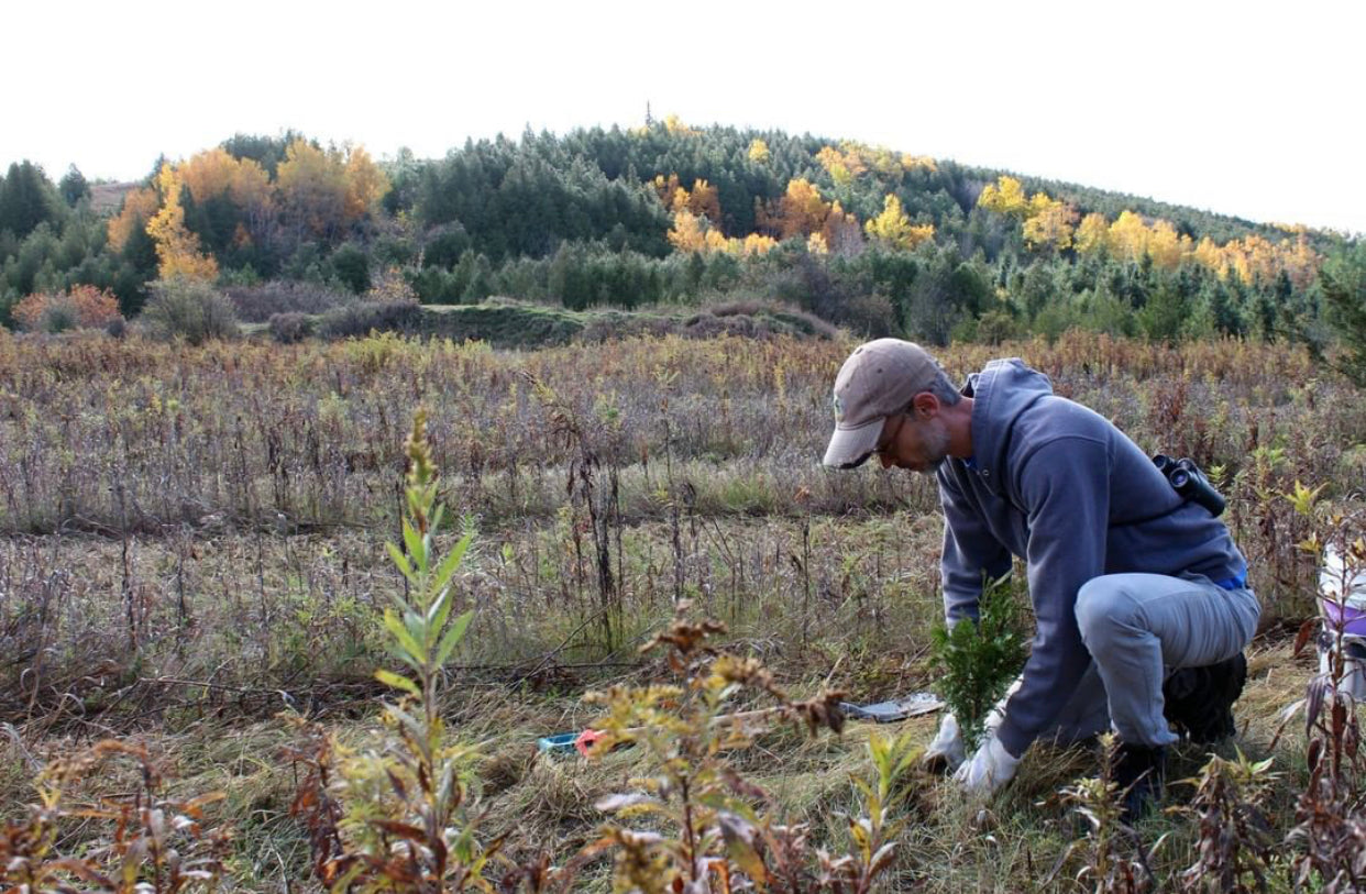 Plant One Tree (General)