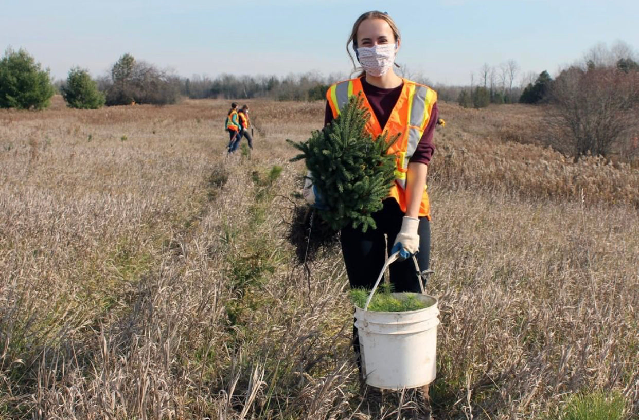 Plant One Tree (General)